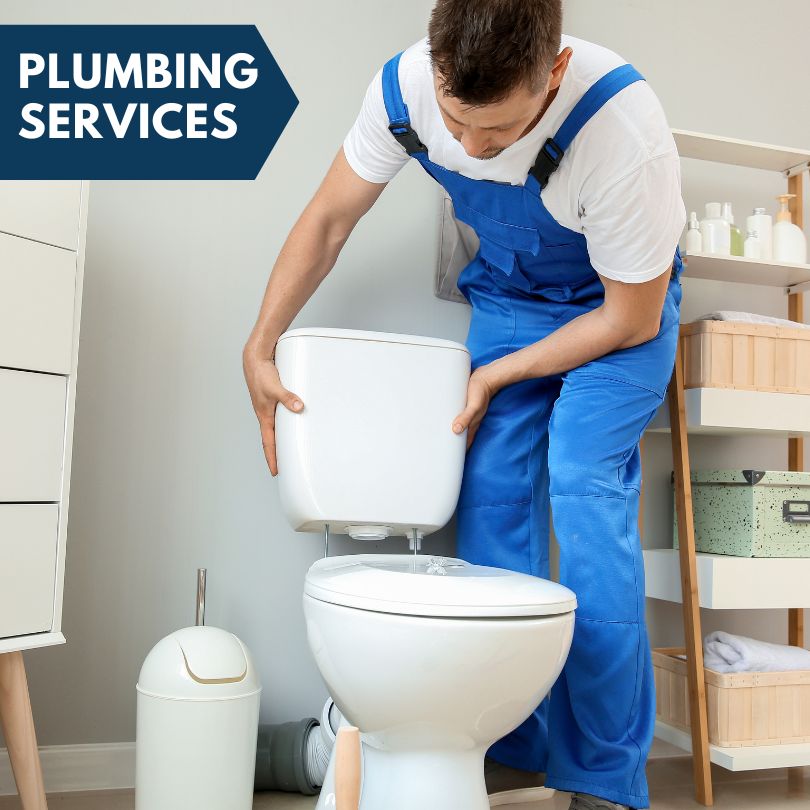 Plumbing Company in Wilsonville, IL